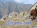 Machu-Picchu-021